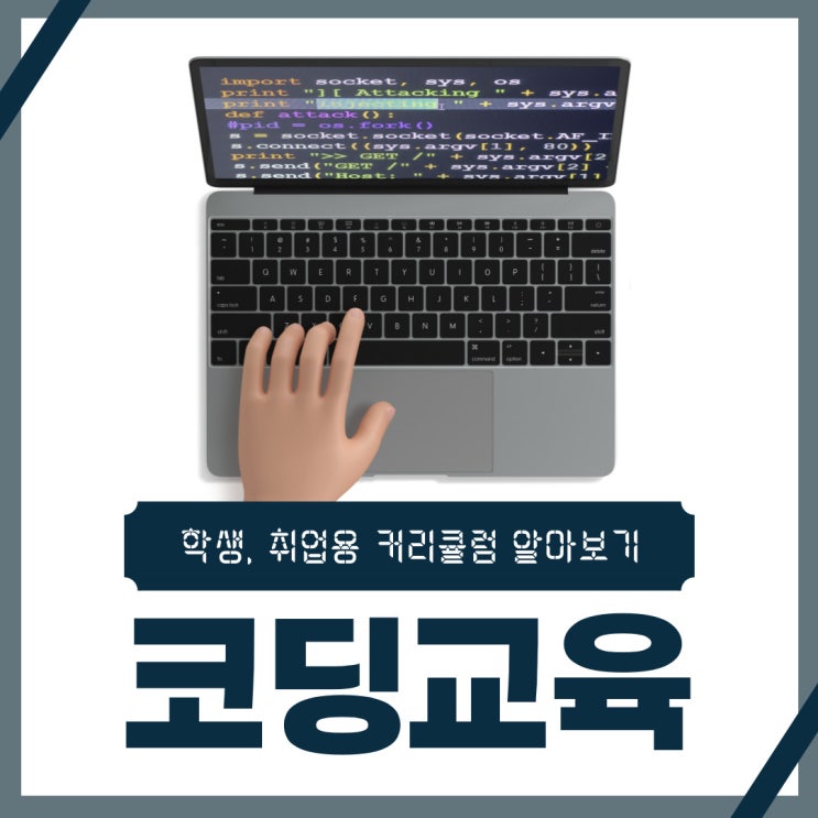 코딩교육 학생 및 취업용 커리큘럼 알아보기 코딩교육 학생 및 취업용 커리큘럼 알아보기