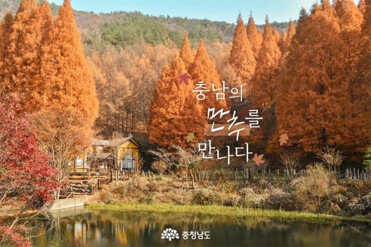 충남 가볼만한곳 충남의 만추를 만나다 | 충남도청페이스북