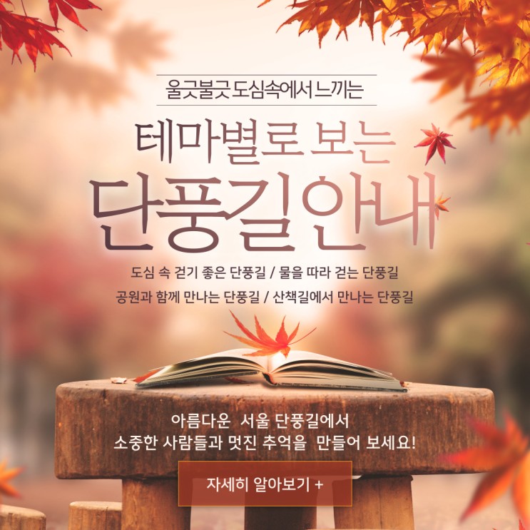 [울긋불긋 도심 속에서 즐기는 가을의 향기] 테마별로 보는 서울의 아름다운 단풍길 안내(도심 속 걷기, 물을 따라 걷기, 공원과 함께 만나기, 산책길에서 만나는 단풍길)