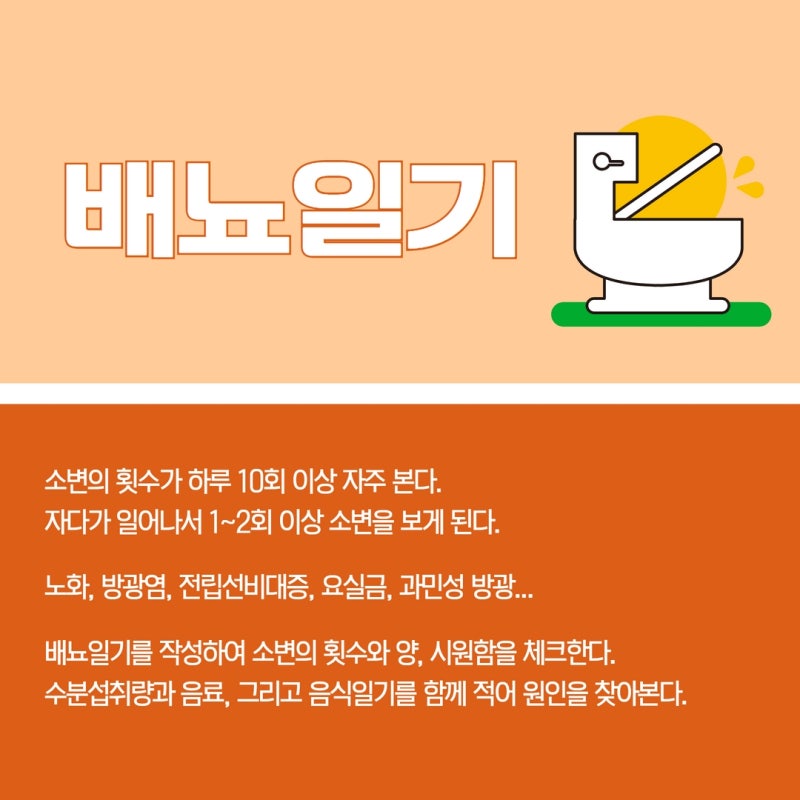 빈뇨, 야간뇨, 절박뇨, 식이요법 등의 원인과 치료 2