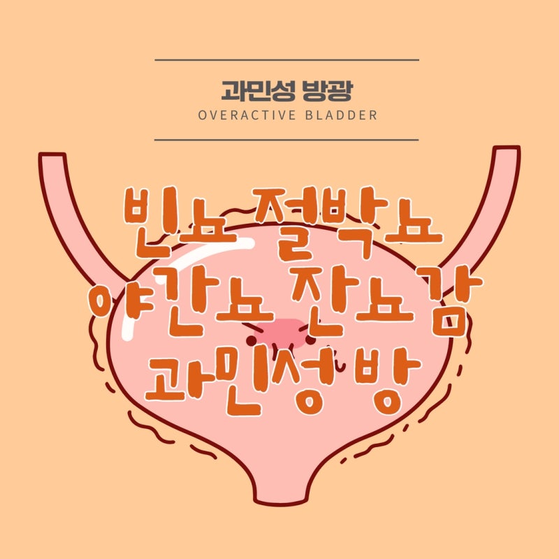 빈뇨, 야간뇨, 절박뇨, 식이요법 등의 원인과 치료 4