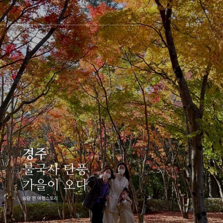  경주 불국사 단풍 놓치기 아까워