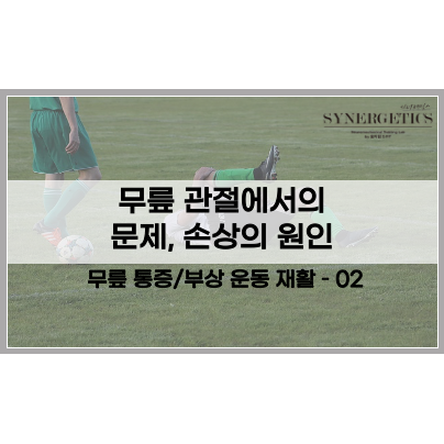  무릎 재활 운동에 관하여 - 2. 무릎 관절에서의 문제, 손상의 원인(반달연골, 전방십자인대, 후방십자인대