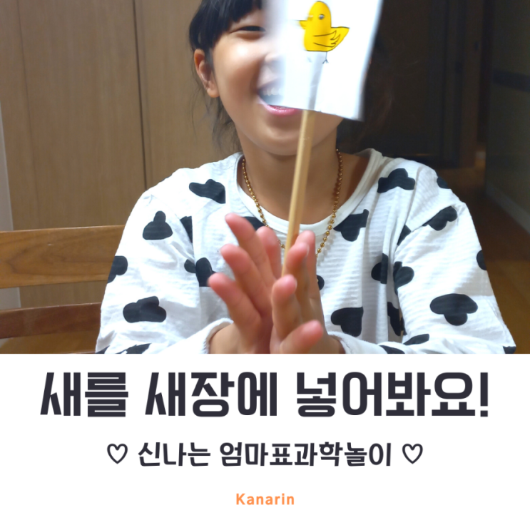  엄마표 과학실험 새를 새장에 넣기 실험 해 보아요