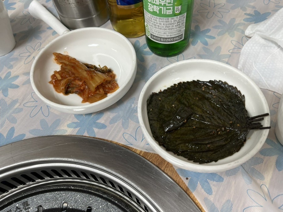 해오라기 사진 6