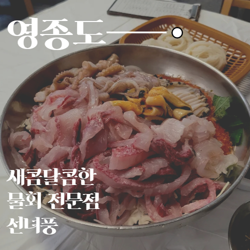  영종도 을왕리 3대 맛집 푸짐한 물회 선녀풍