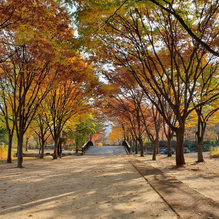  서울 둘레길 1코스 (1) (1-1코스, 수락산, 수락골, 노원골)