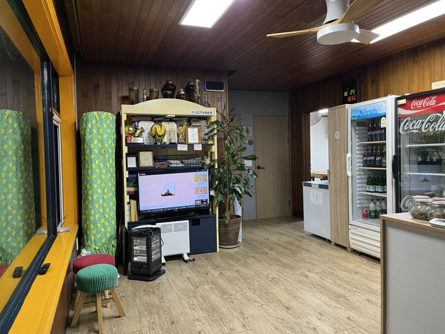 해오라기 사진 3