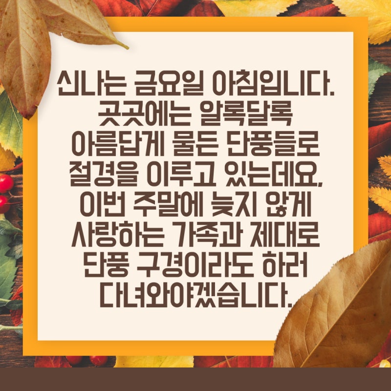 11월 인사말, 금요일 인사말, 가을 인사말, 휴일 인사말 모음 : 네이버 블로그