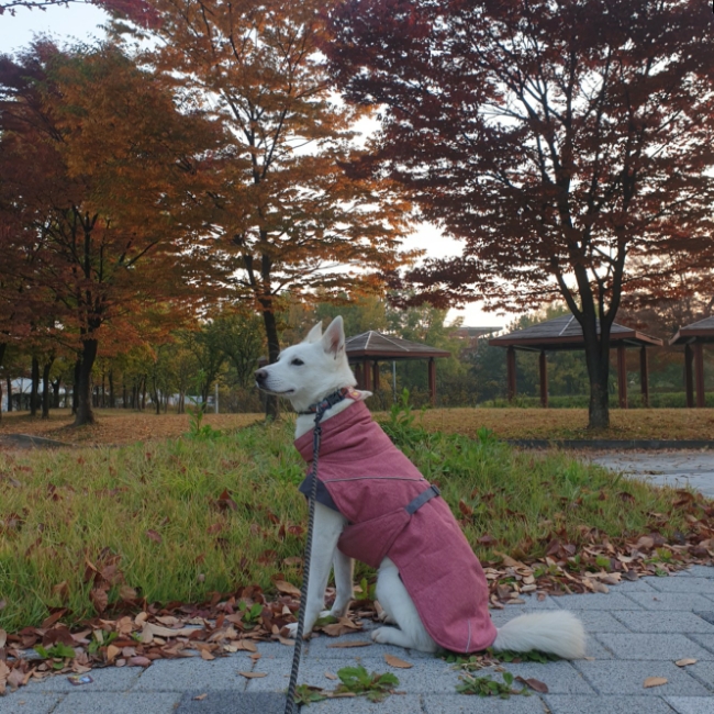 후르타 패딩 3년 차의 조언 : 돈 낭비하지 마세요 후르타 패딩 3년 차의 조언 : 돈 낭비하지 마세요