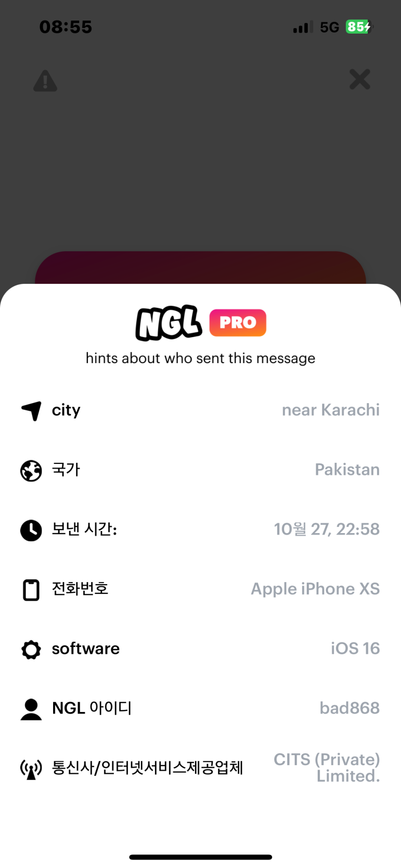 인스타그램 NGL 유료결제 하지말고 가볍게 즐기자 : 네이버 블로그