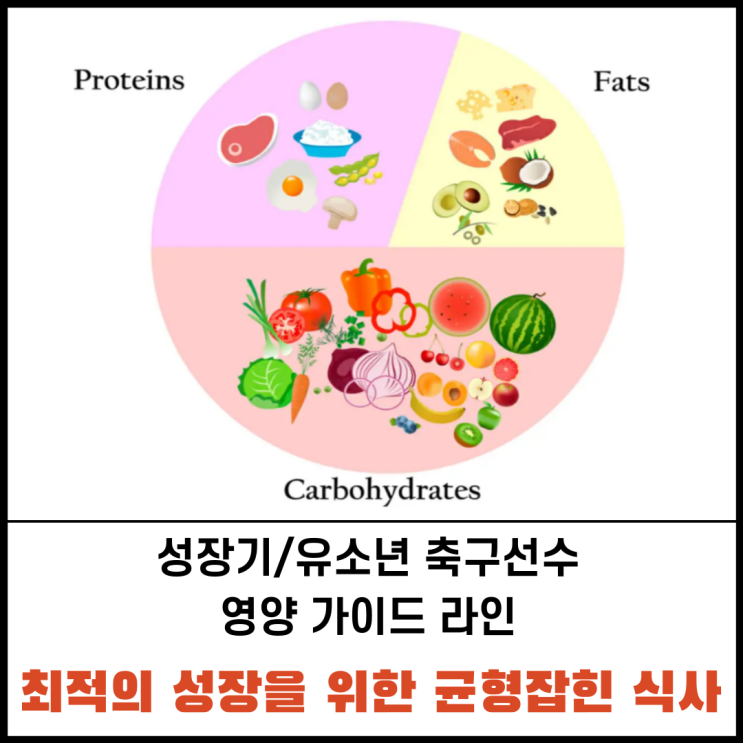 성장을 위한 균형잡힌 식사 가이드/ 식품 구성 자전거 / 채소,단백질,과일,우유,유제품,주식