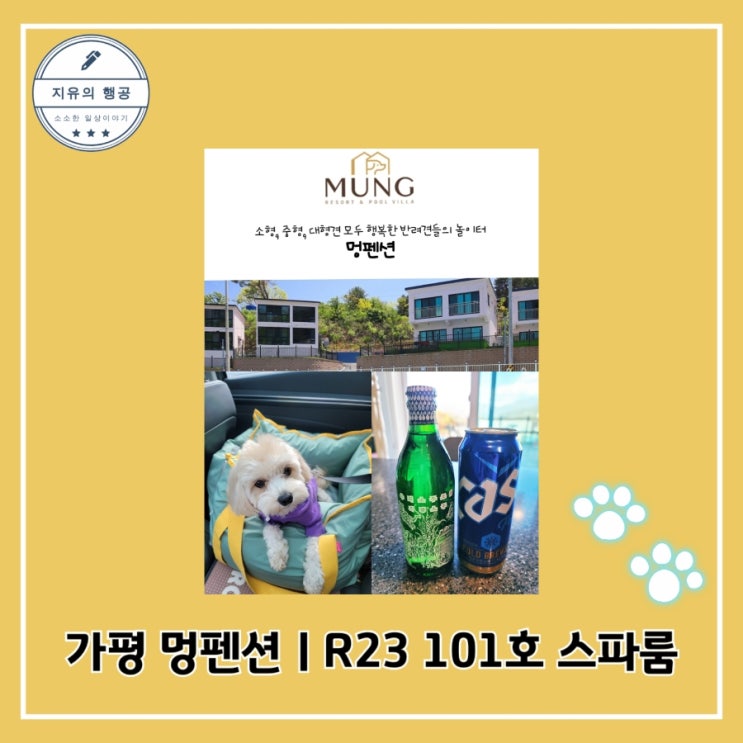  애견 동반 가평 멍펜션 R23 101호 스파룸ㅣ개별운동장과 바베큐 말티푸 카이 일상