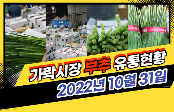 [경매사 일일보고] 10월 31일자 가락시장 "부추" 경매동향을 살펴보겠습니다!