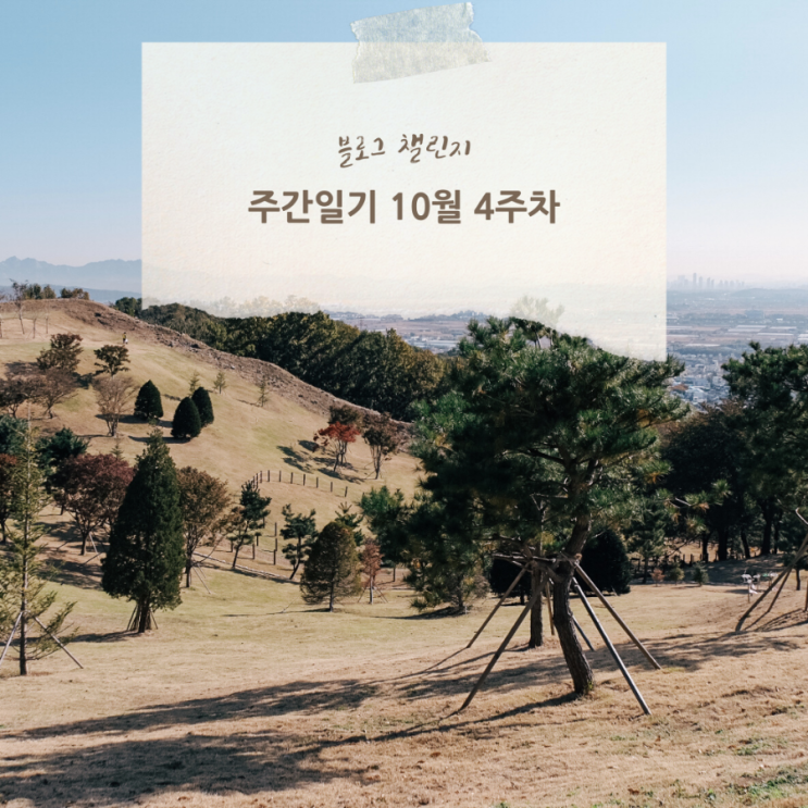  블챌 주간일기 10월 4주차