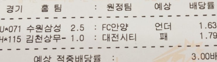 짜릿했던 K리그 승강 플레이오프 2차전 시나리오 완전 적중 짜릿했던 K리그 승강 플레이오프 2차전 시나리오 완전 적중