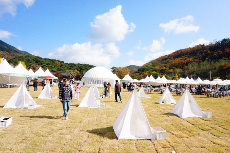  영주사과축제, 부석사 단풍구경은 덤덤