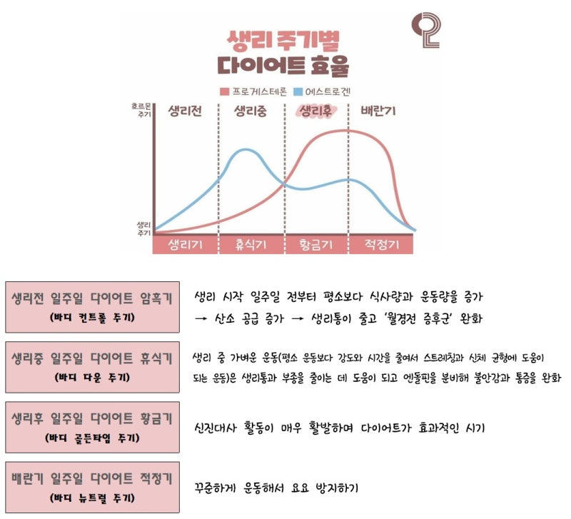 현명한 호르몬 체충감량법! 생리기간 다이어트 방법 11