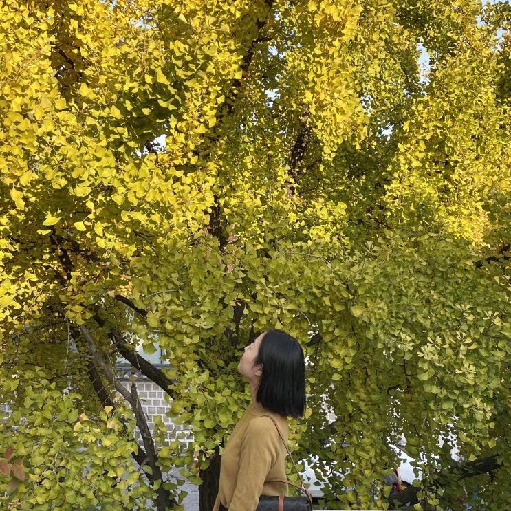  [블챌] 주간일기 챌린지 | 22.10_4w