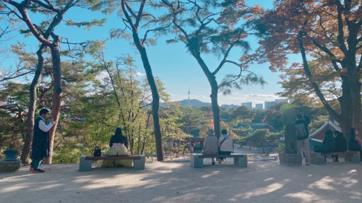  020 가을에 빠져 맨날 나가고 싶었던 한 주