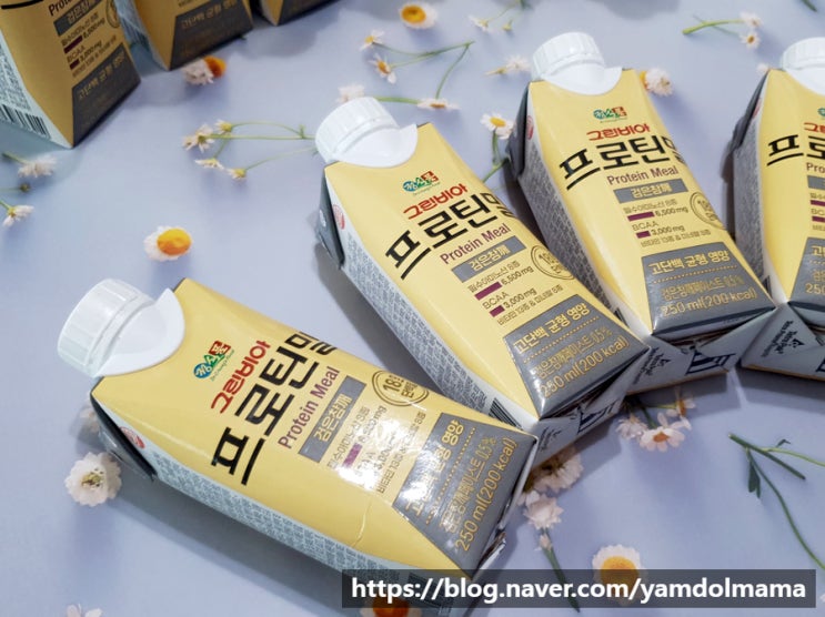 맛있는 단백질 음료 추천 정식품 그린비아 프로틴밀