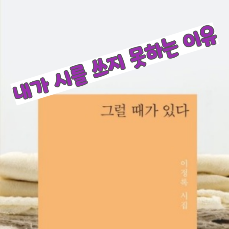  내가 시를 쓰지 못하는 이유, 이정록 시인의 시 눈을 읽고 느낀점