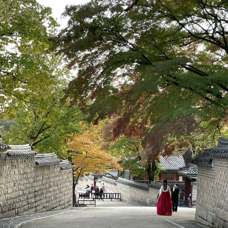  주간일기:가을캠퍼스, 김포현대아울렛,카카오뱅크 26일 굿모닝 챌린지, 염인돈 라멘, 창덕궁 후원, 금복주류, 델라타로, 신촌피자클럽, 이삭토스트