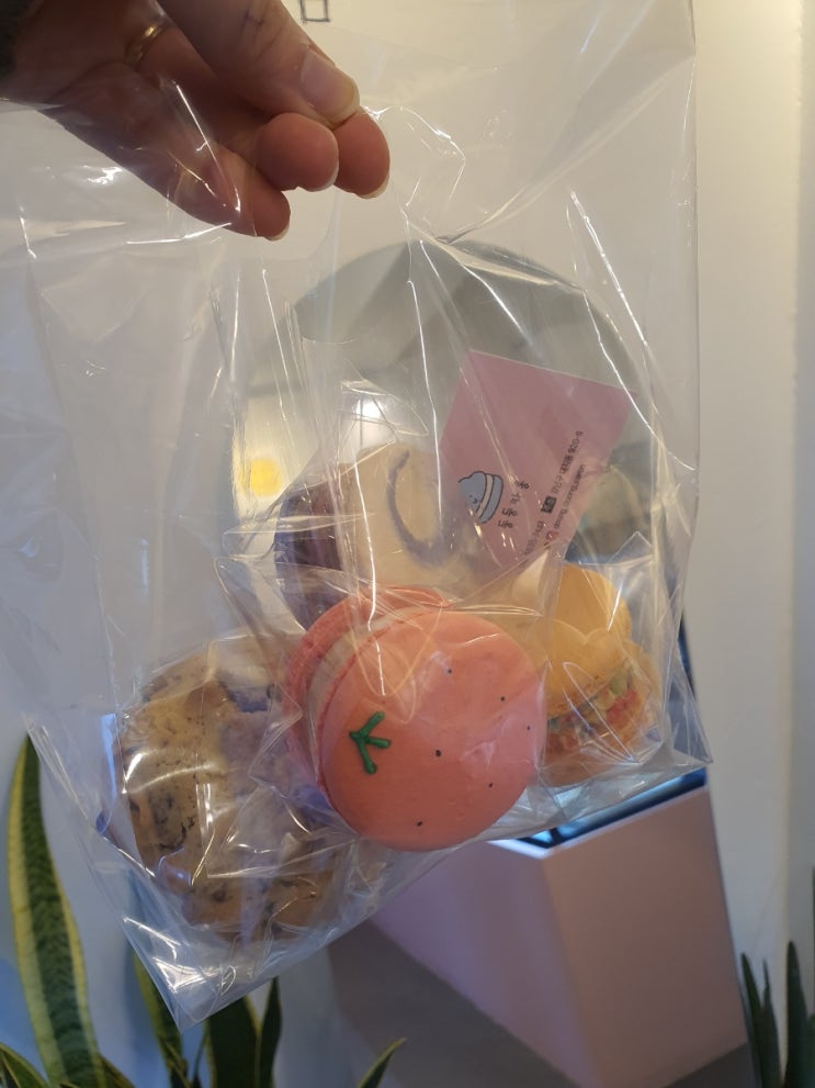  한티마카롱 둥둥카롱 대치점