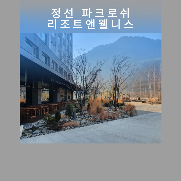  강원도 정선 로쉬카페/파크키친 알아보기 (파크로쉬 리조트 앤 웰니스 조식 뷔페)