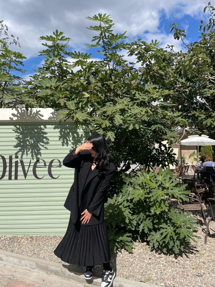  경주 애견 동반 카페 올리브 Olive, 황리단길 스콘 맛집