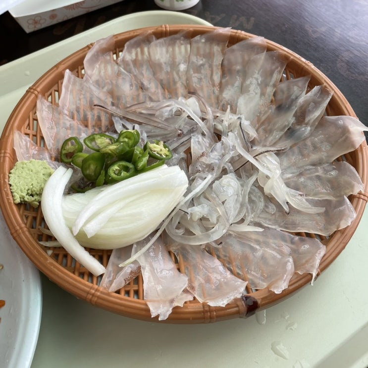  속초 동명항 오징어난전 (오징어회, 무침, 통찜, 라면)