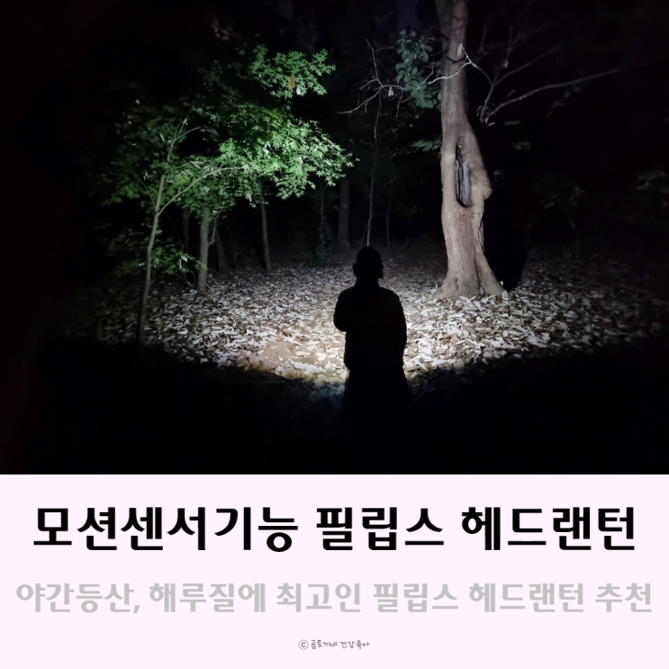 모션센서가 장착된 필립스 HL22M LED 헤드랜턴 야간등산 및 해루질에 추천