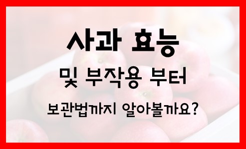  사과 효능 및 사과 부작용 보관법