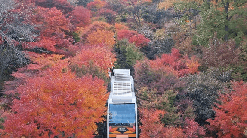  [2022.10.29] 곤지암 화담숲 10월 말 후기 (교통, 주차, 안내 지도, 스탬프, 포토 스팟, 주막)