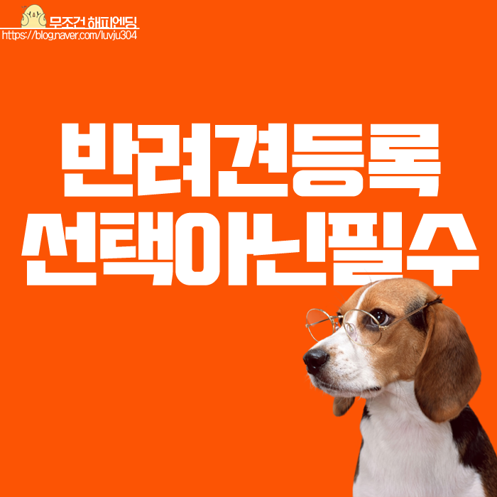  반려견 등록번호 강아지 칩 비용 방법 내용 정리