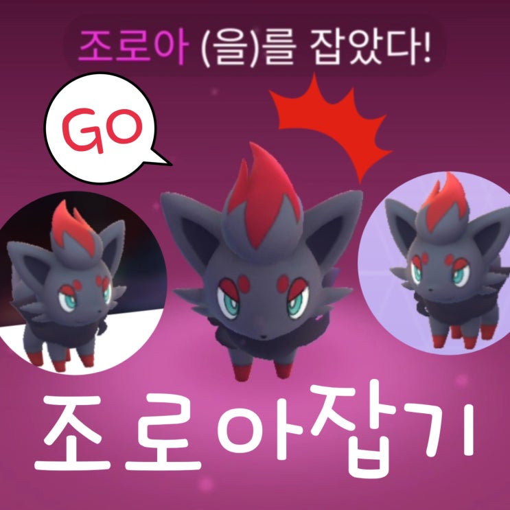  포켓몬고 조로아 진화 및 잡는법, 나쁜여우 포켓몬
