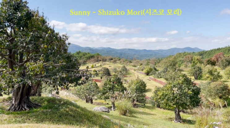 Sunny - Shizuko Mori Sunny - Shizuko Mori