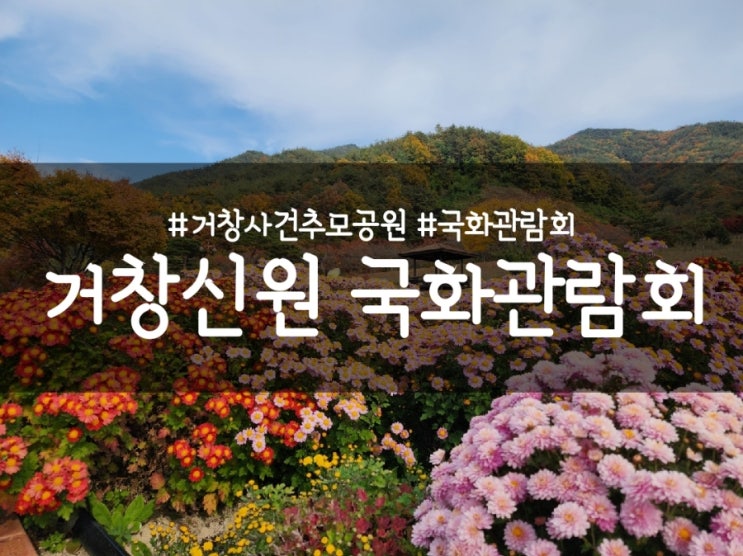 거창 신원 국화축제, 국화 관람회