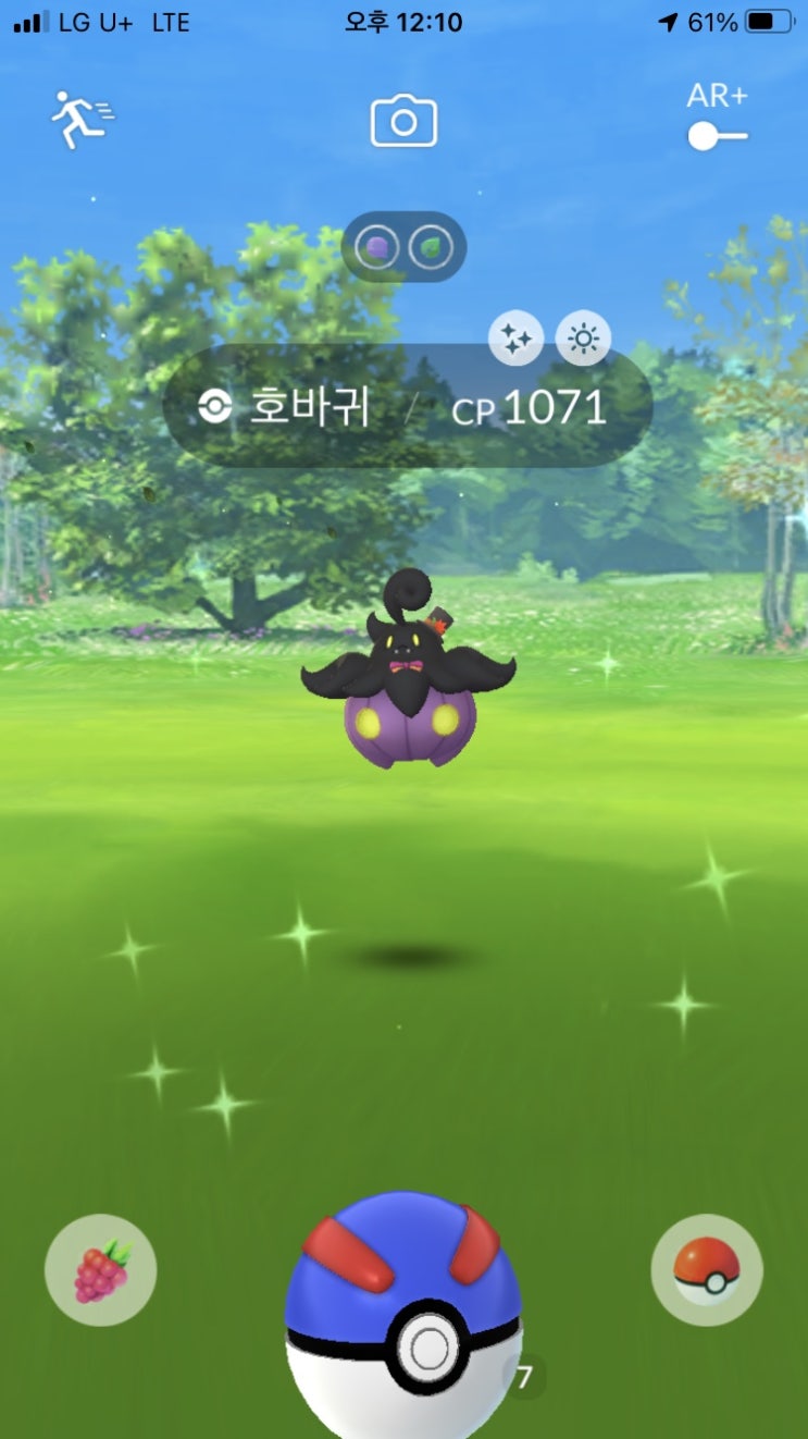  호바귀 이로치