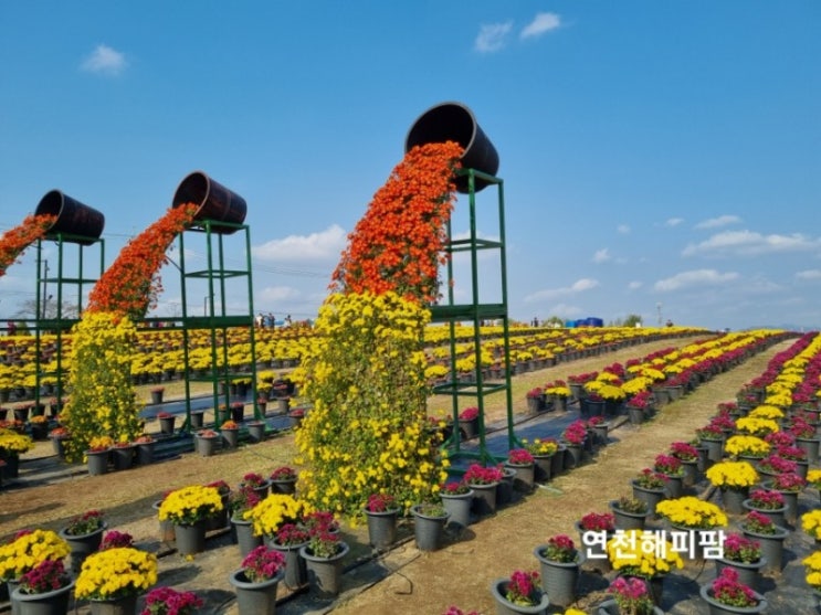  연천한우할인판매 연천율무축제 농특산물 큰장터