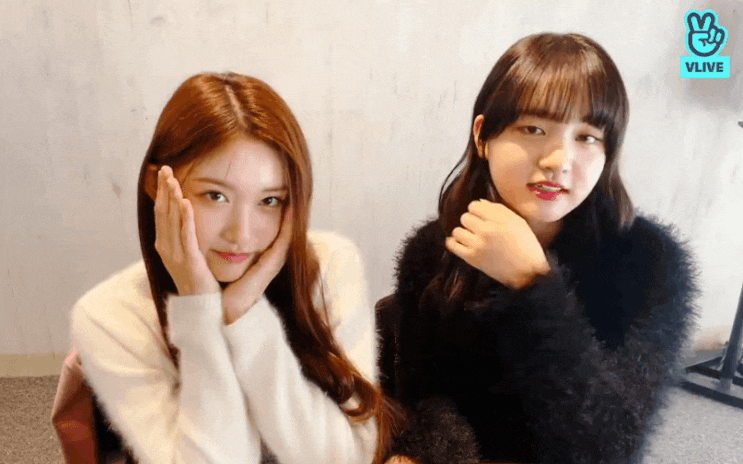  아이브 움짤 109 (리즈&이서 v앱 gif / 장원영 아이더 gif / 안유진 록시땅 gif / 더팩트뮤직어워드 아이브 비하인드 gif / 안유진 &가을 v앱 gif )