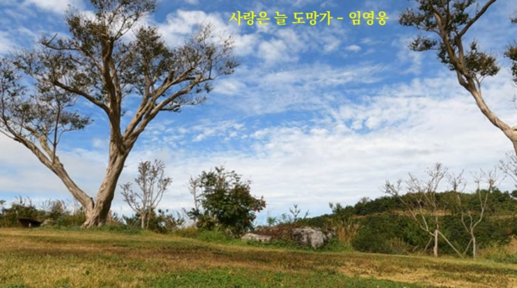 사랑은 늘 도망가 - 임영웅 사랑은 늘 도망가 - 임영웅