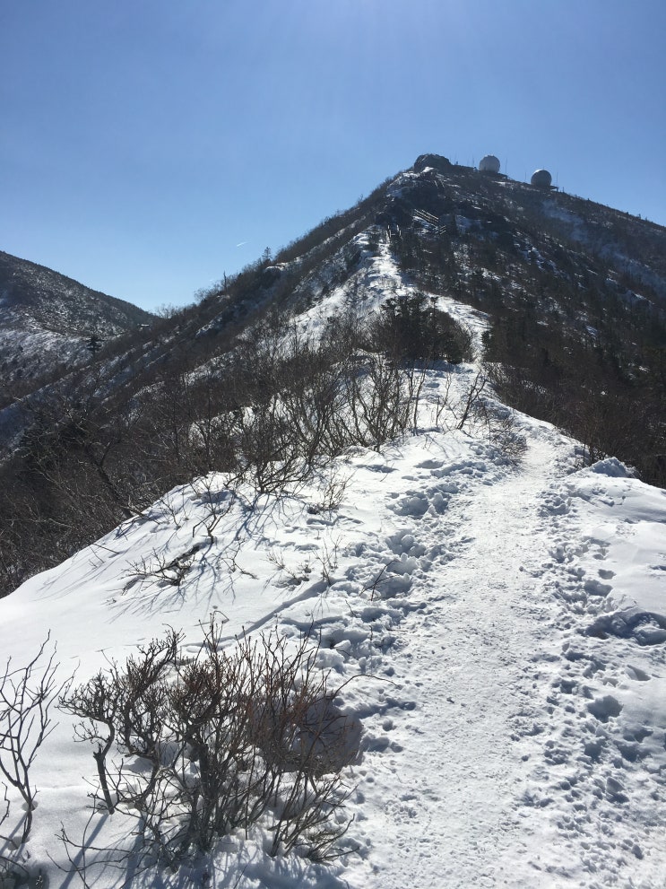  강원 설악산 대청봉코스_170216