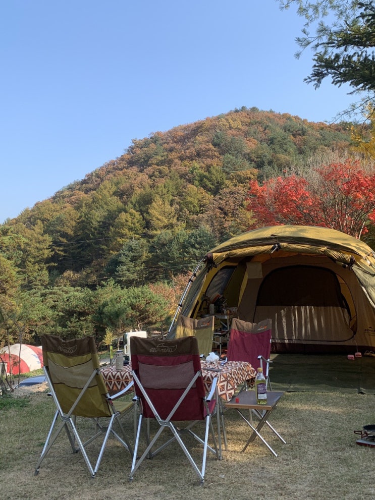  10월 마지막주 주간일기 :: 막학기생의 백수 같은 삶