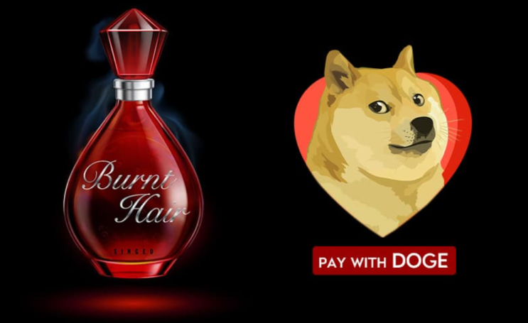  주목받는 도지(DOGE)? (ft.머스크 향수 & 머스크 도지)