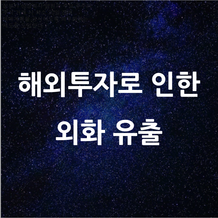  해외투자로 인한 외화유출 l 필수 금융 뉴스