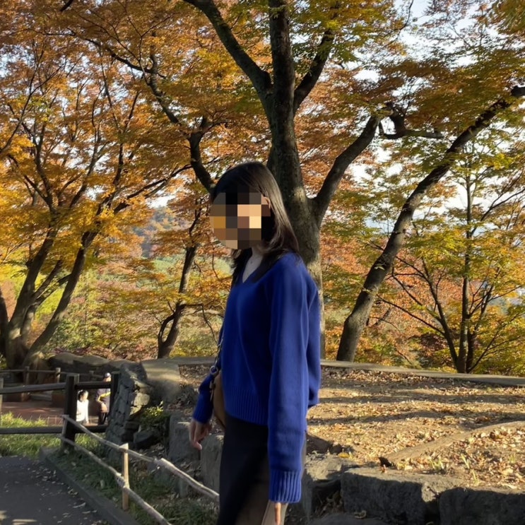  낫띵리튼｜브이넥 니트 구매 후기 (Erin wool v-neck pullover - Royal blue)