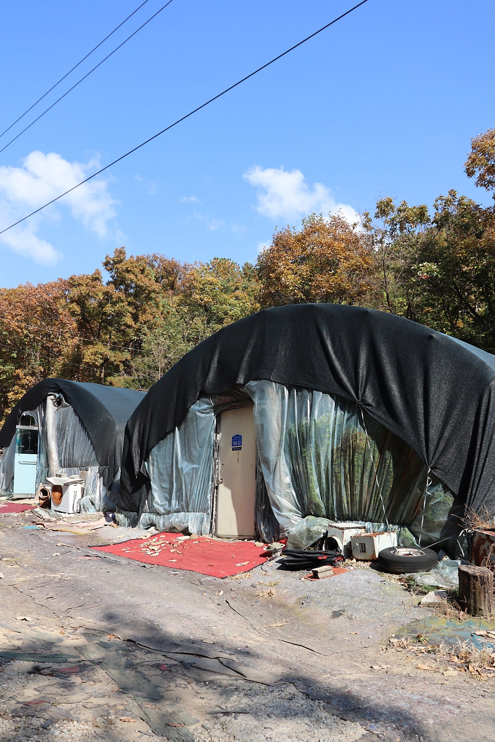 형제농원 사진 4