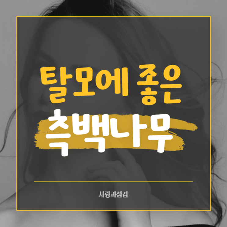측백나무 열매 백자인 효능 탈모에 좋은 약초로 환절기 탈모 예방해요 측백나무 열매 백자인 효능 탈모에 좋은 약초로 환절기 탈모 예방해요