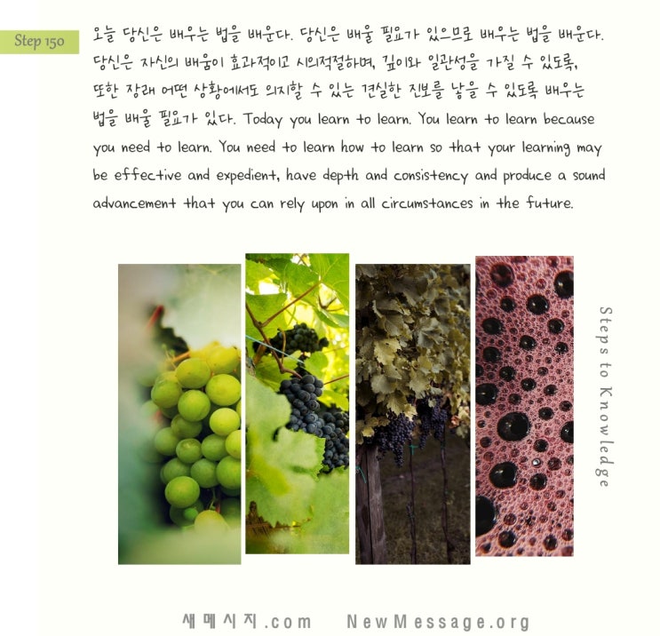 제 150 계단: 오늘 나는 배우는 법을 배울 것이다 Today I will learn to learn. 제 150 계단: 오늘 나는 배우는 법을 배울 것이다 Today I will learn to learn.